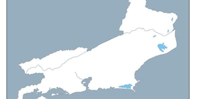 Harta e Rio de Janeiro vektor